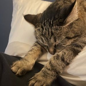 Meet your Posher, Vanessa